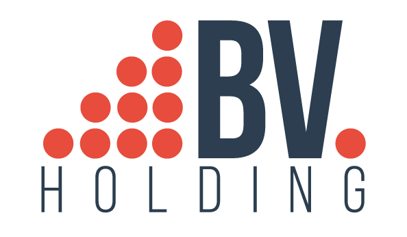 Bv. Holding Kft. logó